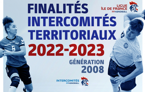 Finalités des intercomités territoriaux - Génération 2008 