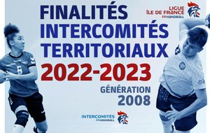 Finalités masculines des intercomités territoriaux - Génération 2008